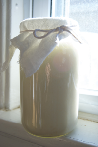 Homemade Buttermilk and Creme Fraiche Image